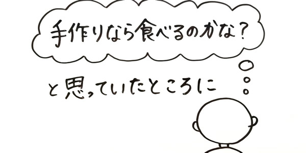 ココグルメは獣医師監修の手づくりドッグフード！