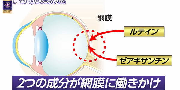 【ロートV5粒アクトビジョン】は効果がない？怪しい商品？